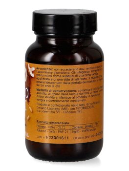 Reishi - MicoEST - 2