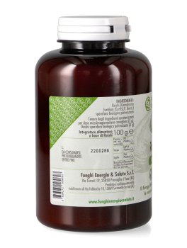 Reishi Polvere Bio - 2