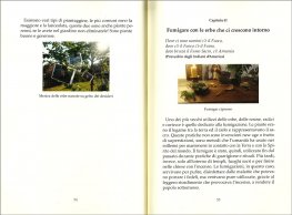 Res Naturae — Libro - 3
