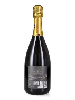 Resiliens - Vino Spumante Dolce Bio - 2