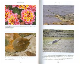 Restaurare la Natura — Libro - 3