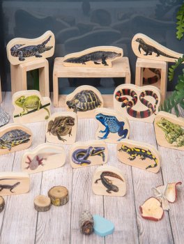 Rettili e Anfibi Sagomati in Legno - 4