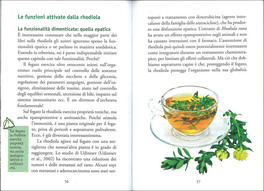 Rhodiola — Libro - 3