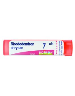 Rhododendron Chrysan 7CH Granuli Boiron - 1