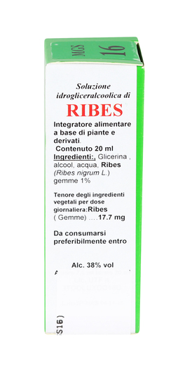 Ribes - MGS 16 - 2