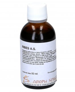 Ribes A.S. - 1