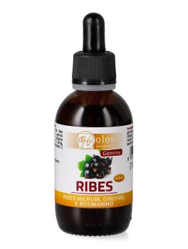 Ribes+++ Gemme - Gocce 50 ml - 1