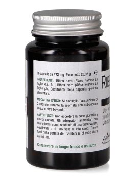 Ribes Nero - 3