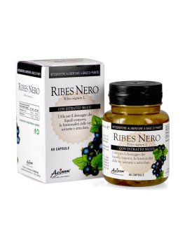 Ribes Nero - 4
