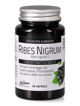 Ribes Nero - 1