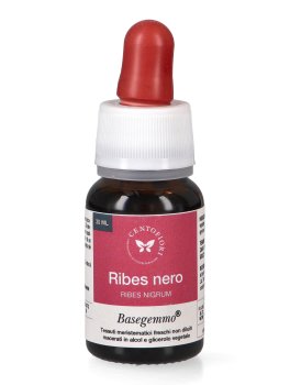 Ribes Nero - Basegemmo - 2