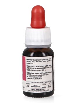 Ribes Nero - Basegemmo - 3