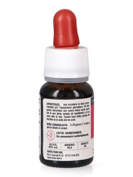 Ribes Nero - Basegemmo - 4