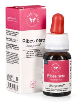 Ribes Nero - Basegemmo - 1