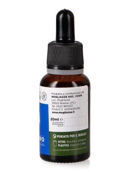 Ribes Nero - Estratto Idrogliceralcolico da Pianta Fresca - 2