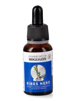Ribes Nero - Estratto Idrogliceralcolico da Pianta Fresca - 1