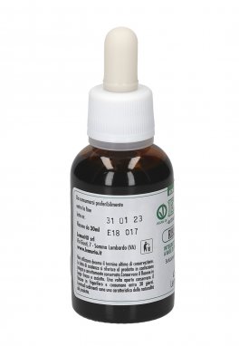 Ribes Nero - Estratto Totale senza Alcol - 4