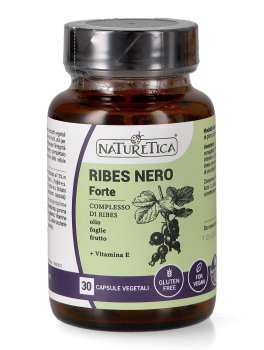 Ribes Nero Forte - 1