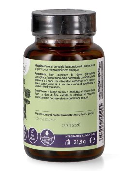 Ribes Nero Forte - 2