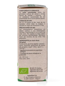 Ribes Nero Gemme - 6