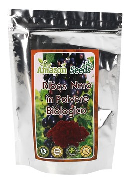 Ribes Nero in Polvere Biologico - 1