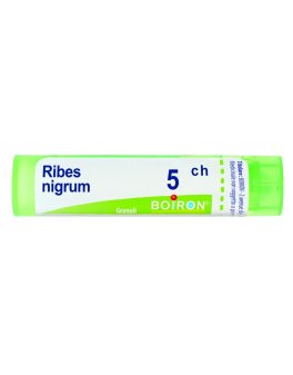 Ribes Nigrum 5CH Granuli Boiron - 1