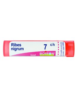Ribes Nigrum 7CH Granuli Boiron - 1