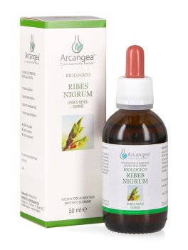 Ribes Nigrum Bio - 1