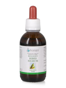 Ribes Nigrum Bio - 2