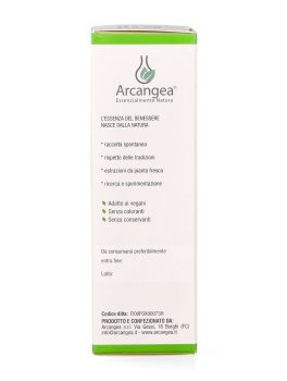 Ribes Nigrum Bio - 7