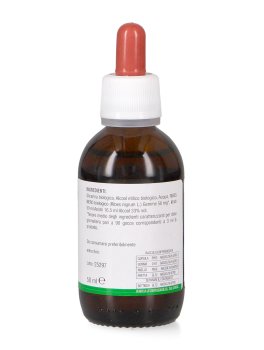 Ribes Nigrum Bio - 3