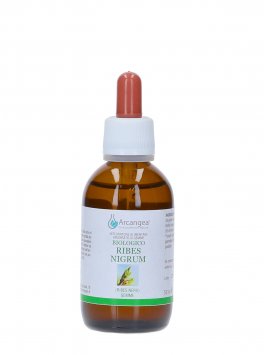Ribes Nigrum Bio - 1