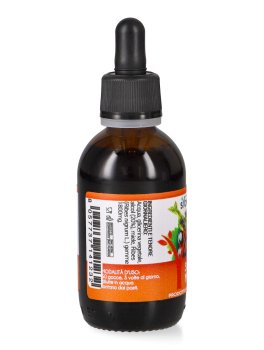 Ribes Nigrum - Gemmoderivato - 3