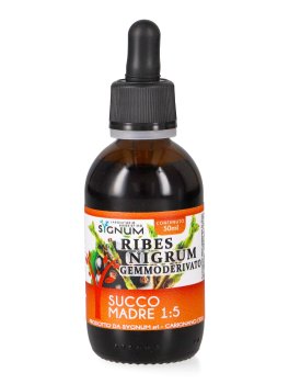 Ribes Nigrum - Gemmoderivato - 1