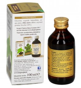 Ribes Nigrum Gemmoderivato Concentrato - Gemmo 10+ ® - 2