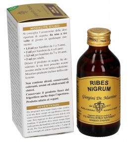 Ribes Nigrum Gemmoderivato Concentrato - Gemmo 10+ ® - 4