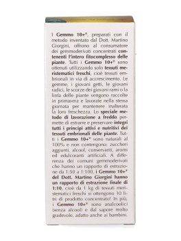 Ribes Nigrum Gemmoderivato Concentrato - Gemmo 10+ ® - 7