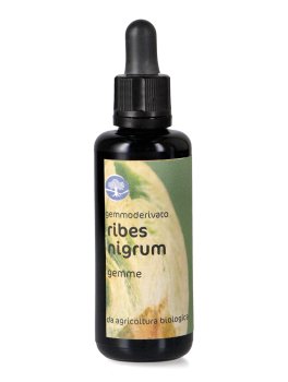 Ribes Nigrum - Gemmoderivato Floripotenziato - Gemme - 1