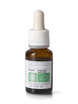 Ribes Nigrum PSC - Ribes Nero Gemme - 2