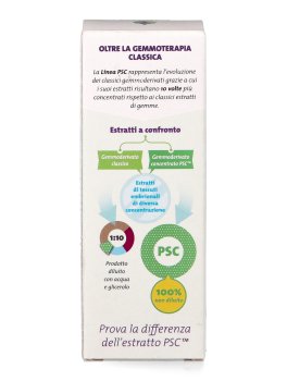 Ribes Nigrum PSC - Ribes Nero Gemme - 5