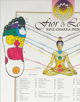 Rifle Chakra Piedi — Poster - 2