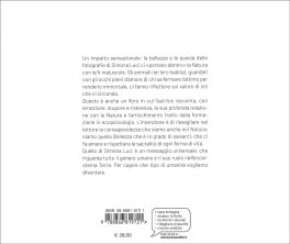 Riflessi di Bellezza — Libro - 4