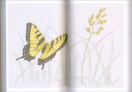 Rifugi per un Tempo Sospeso — Libro - 3
