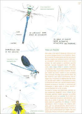 Rimanere sul Sentiero — Libro - 2