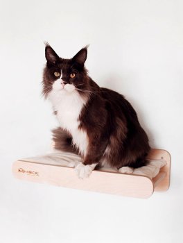 Ripiano con Cuscino per Gatti - 2