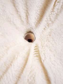 Ripiano con Cuscino per Gatti - 8