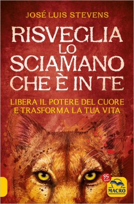 Risveglia lo Sciamano che è in Te — Libro - 1