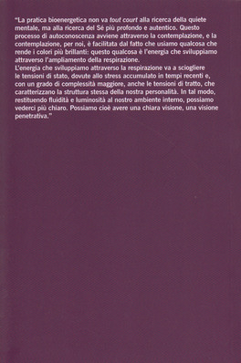 Risvegliare l'Energia — Libro - 2