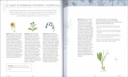 Riti e Folklore delle Streghe — Libro - 3