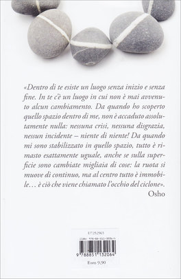 Ritorno al Presente — Libro - 2